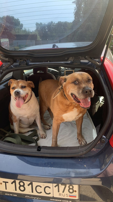 WhatsApp Image 2022-08-29 at 12.12.46 (1)