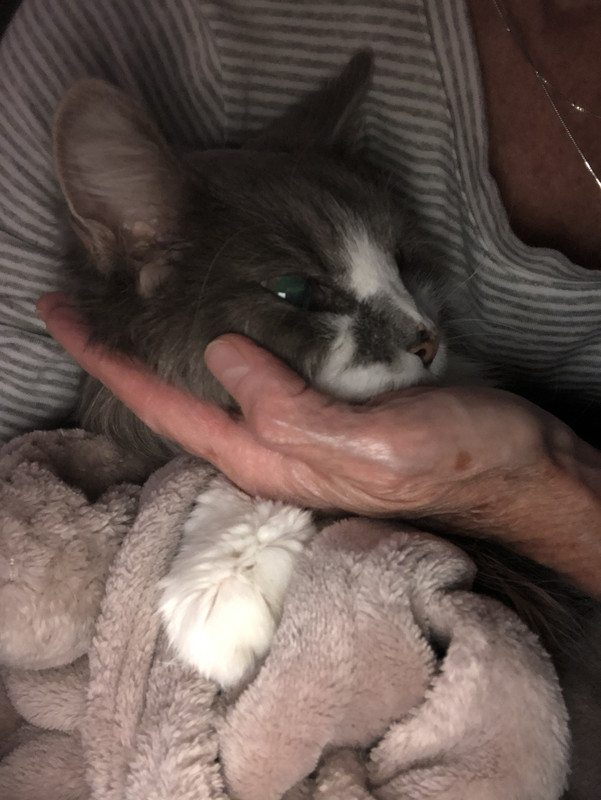 C96CEC66-D02C-4A6E-A983-349B4B0262F0