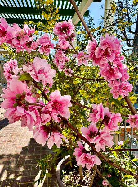 [Image: IMG_3105.jpg]