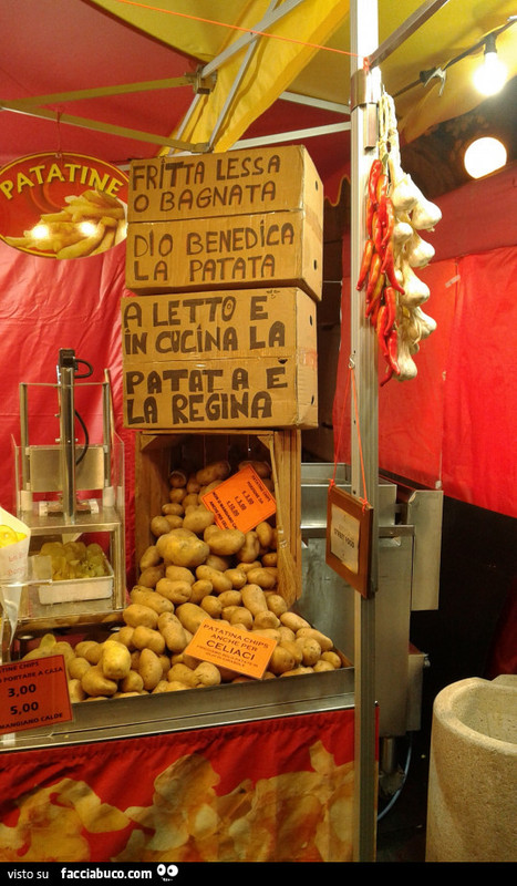 patata