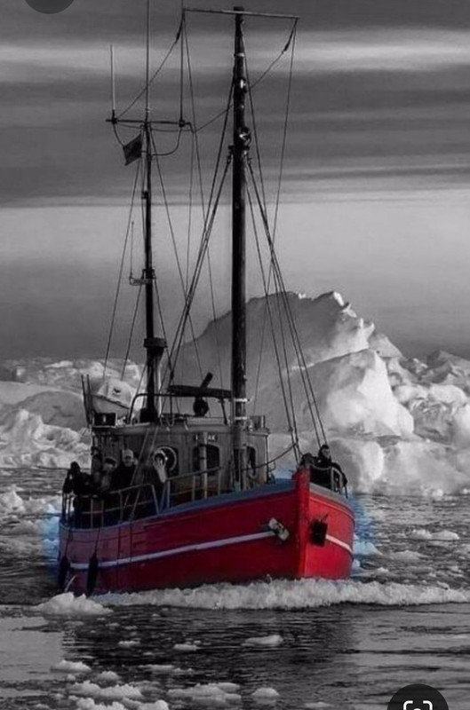 Screenshot_20230418_212304_Pinterest