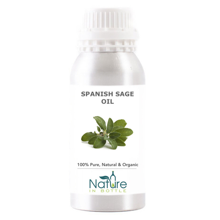 Spanish Sage Essential Oil Organic Salvia Lavandulifolia