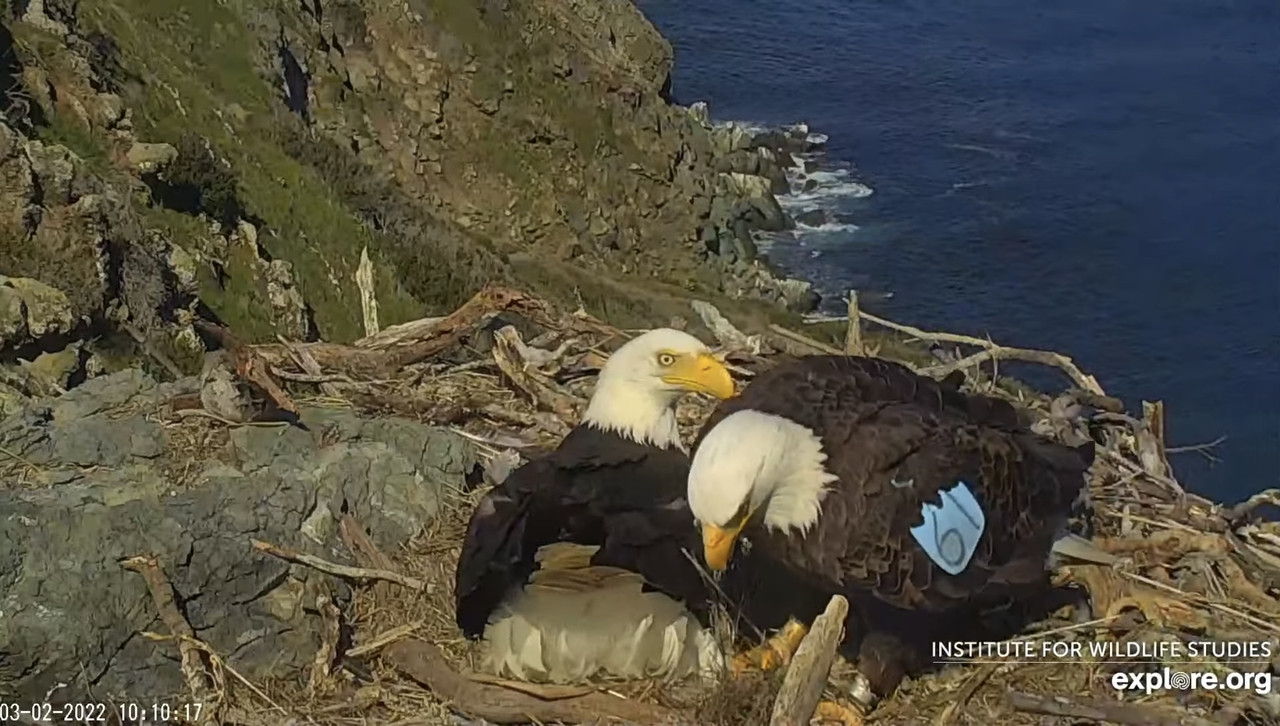 87C72F46-CC18-495C-B3E3-1084408C98F8