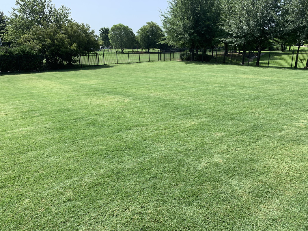 076EAFE0-854A-4254-B80B-E22C55734395