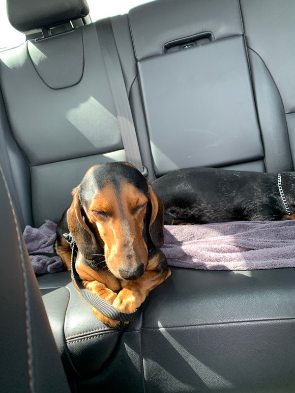 [Image: IMG-1416.jpg]