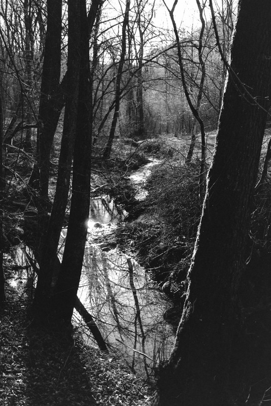 Rollei 35 S_22mar2022_13 (855x1280)