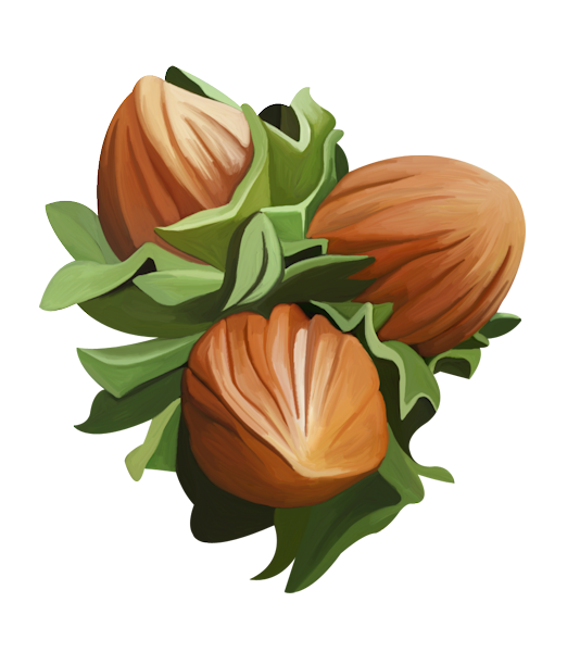 143790082_LMB_Fall_Bounty_Element_65