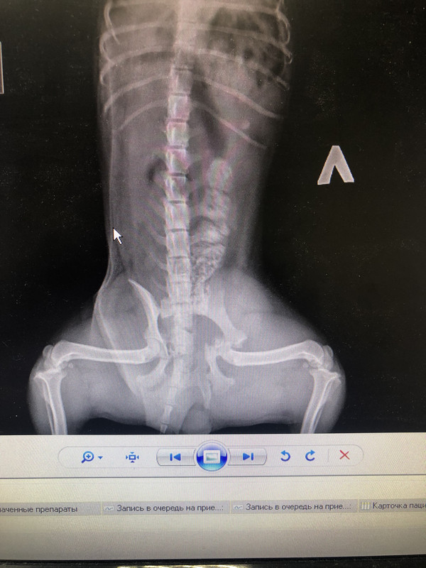 A992BFC1-D0AD-4660-BD63-09CF8B9FEA29