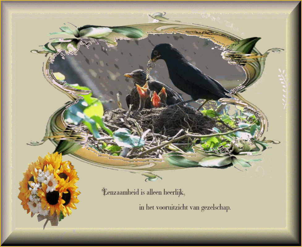 middenplaatje-13-juli-2021