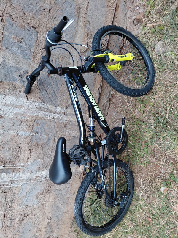 20"Barracuda Draco DS20