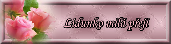 Lidunka.png