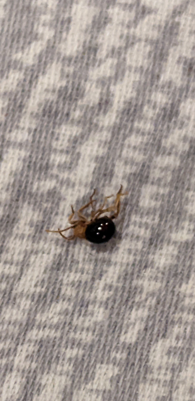 Screenshot_20230919-221315