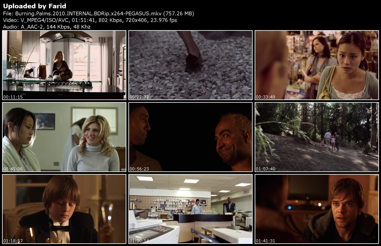 Burning-Palms-2010-INTERNAL-BDRip-x264-PEGASUS.jpg