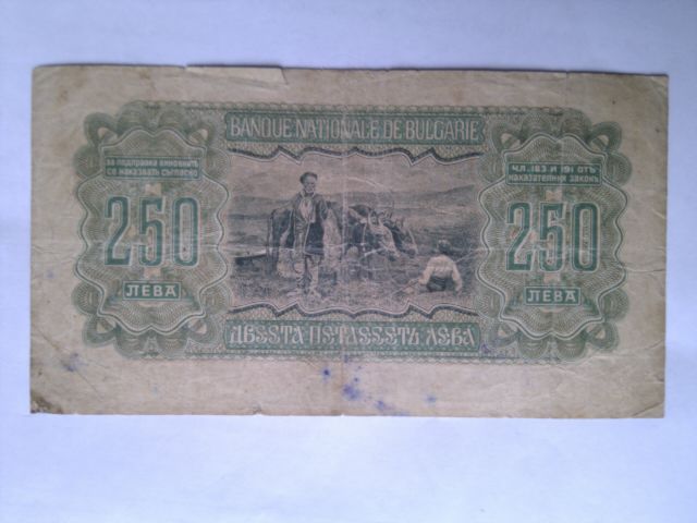 IMAG8393