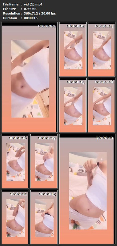 vid (1).mp4