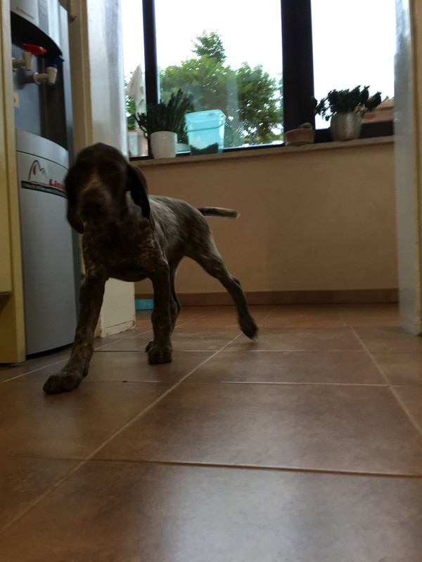 185C6ED5-8E6A-4349-AD60-3A0C61601B69