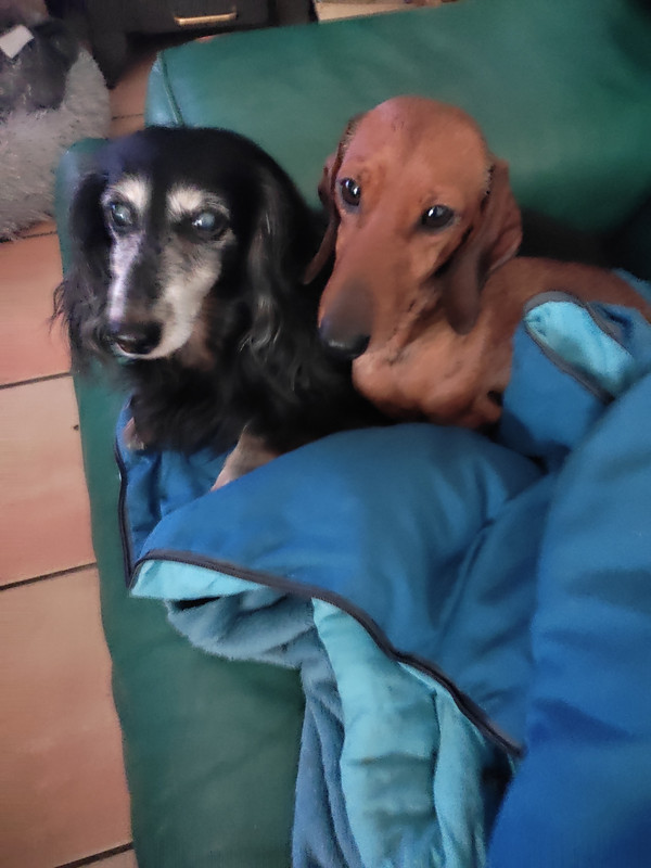 [Image: IMG-20240112-125544.jpg]