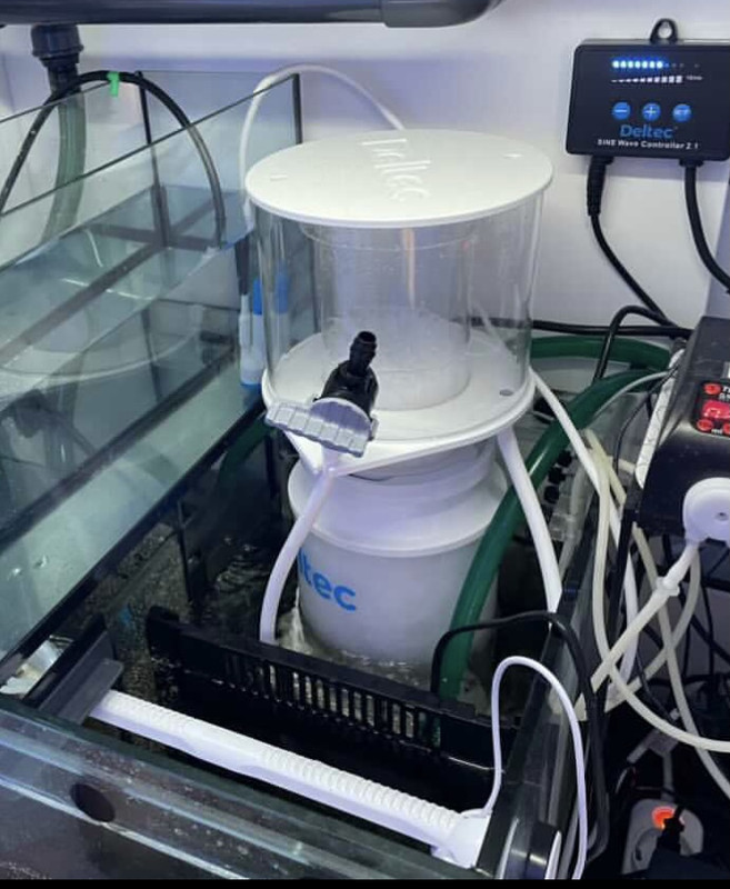 2963FF20-8712-455C-8420-464A11EF3FD2_1_201_a