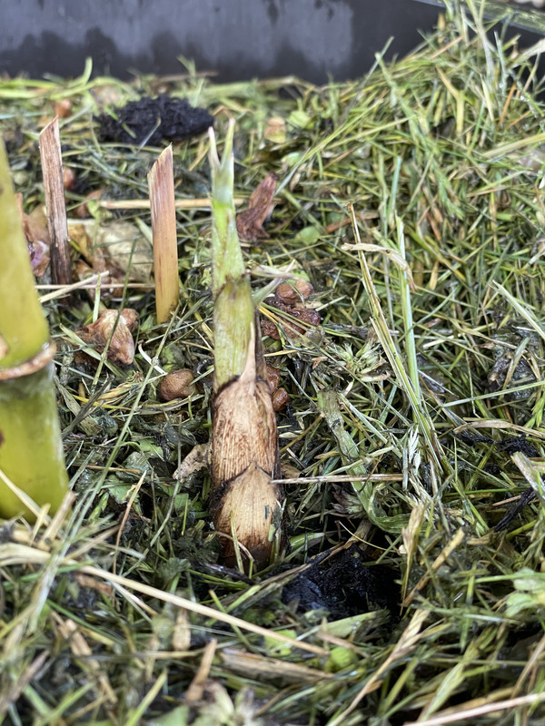 2674CECD-655B-491C-9241-C22BDCCA11F0