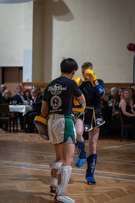 Exhibice bojových umění