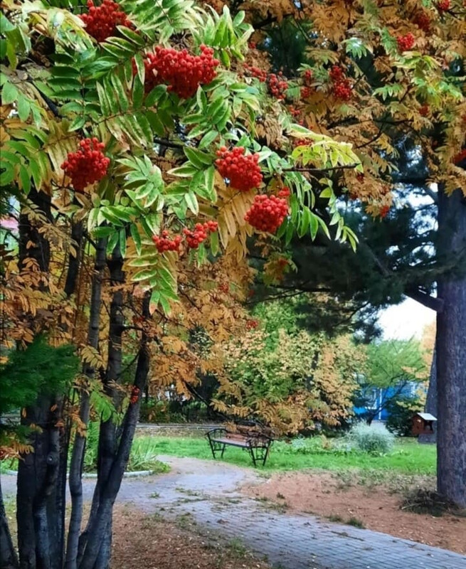 0к17а