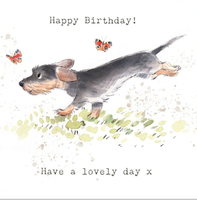 [Image: IMG-0572.jpg]