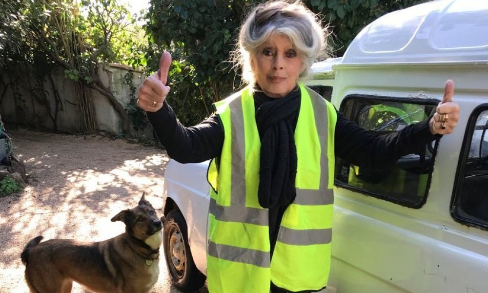 cfc4ccb6f36049079a2d23c96090e