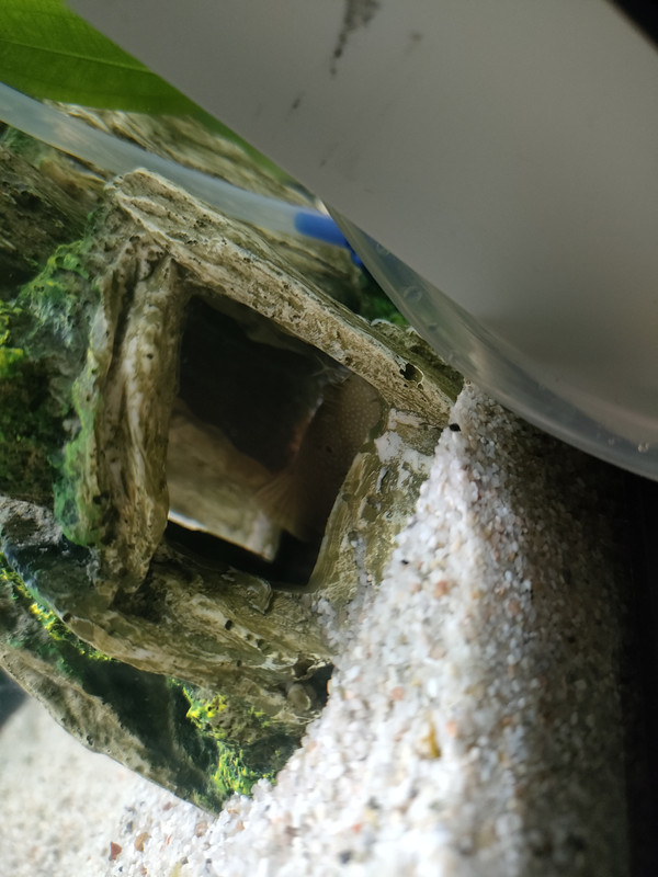 1671562068644863787352656457555