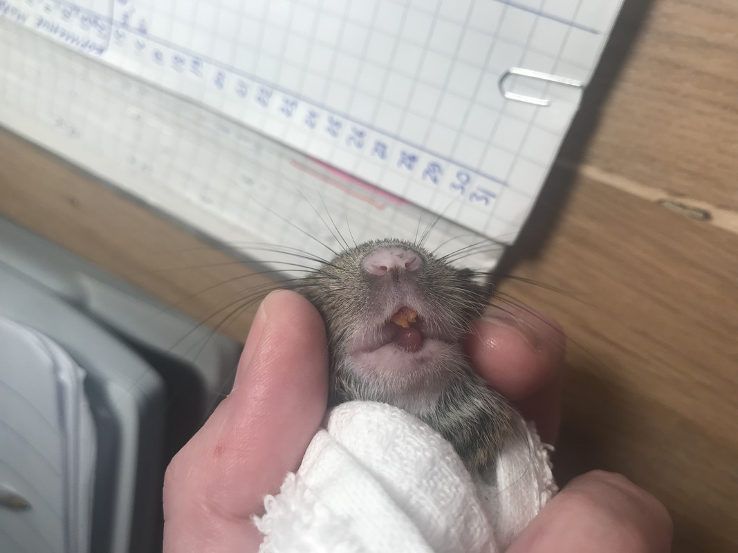 06466617-680E-4E59-89F5-D6B52860A418