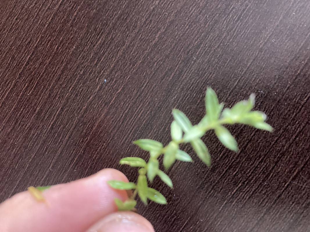 1650F339-BD97-46B1-8C3D-041D98B6D7EC