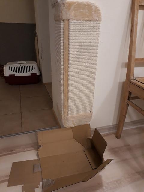 20190326-215445.jpg