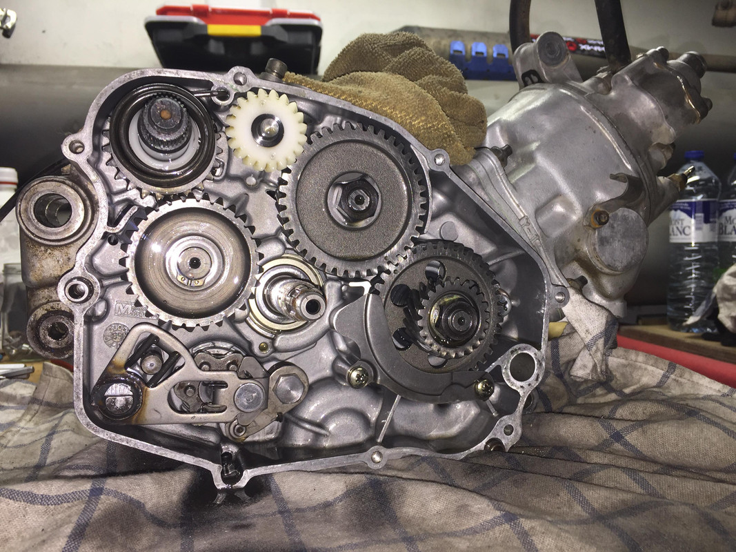 51150456_364879630976268_7422392125364371456_n