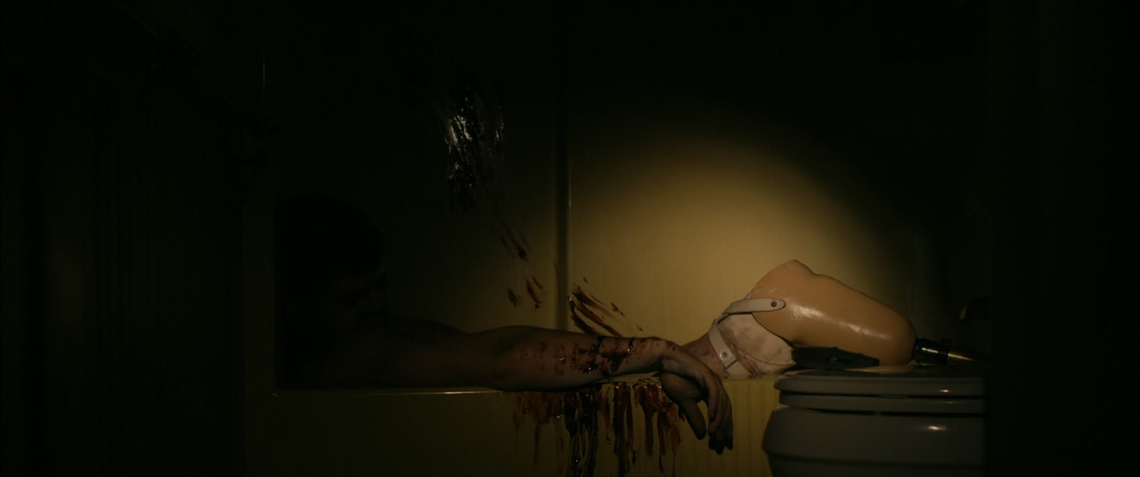 Stake Land (2010) (1080p BluRay x265 r00t)-7