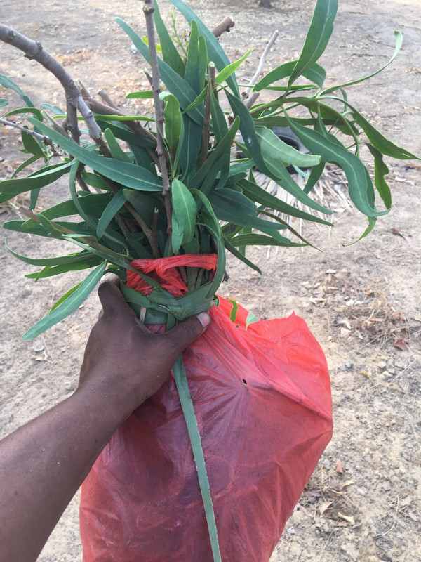 A2628121-D180-4DB6-BADA-D31669628015