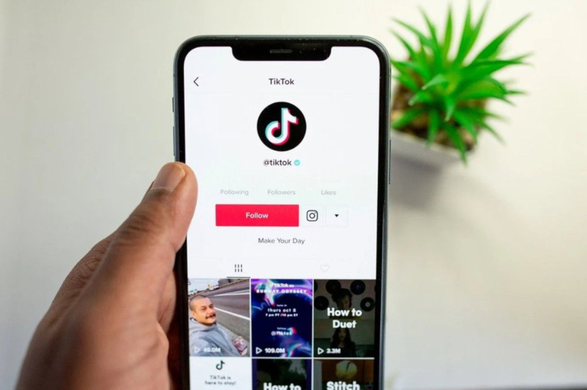 Come sono i nuovi abbonamenti a pagamento su TikTok