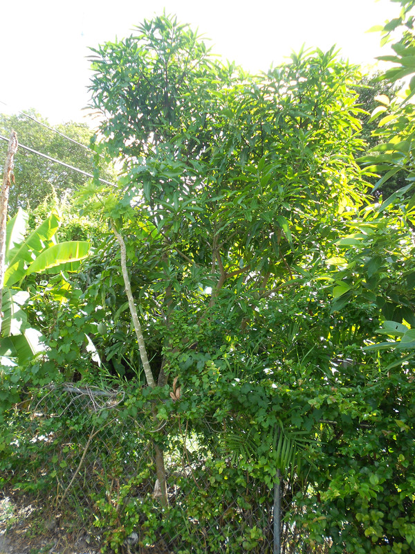 DSCN4759