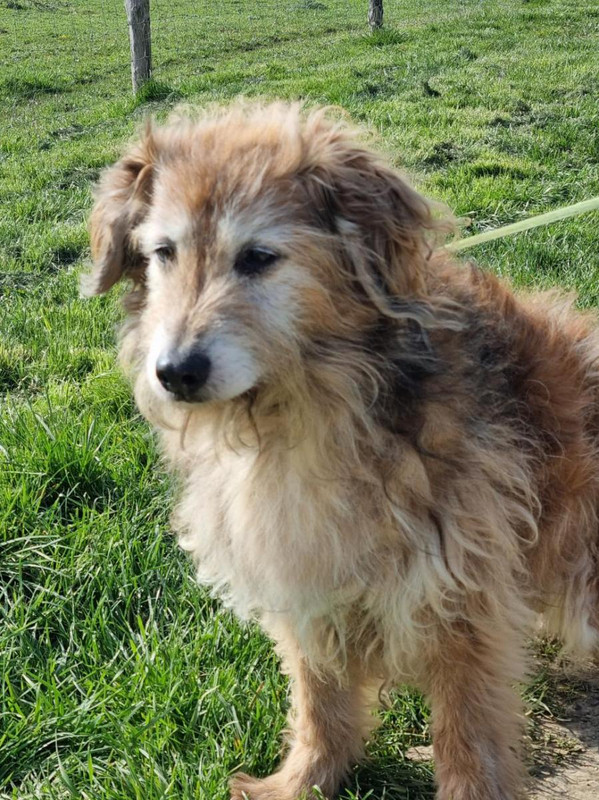 [Image: image000001-45.jpg]