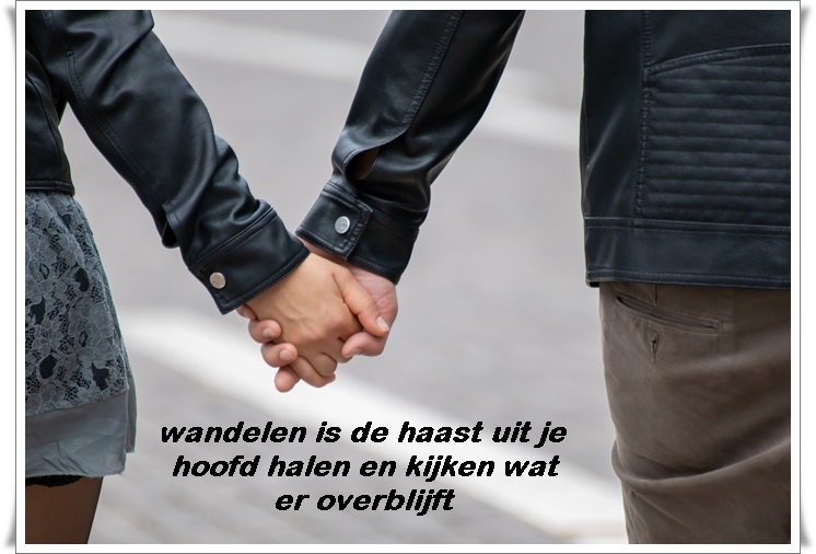 Klik op de afbeelding om de link te volgen