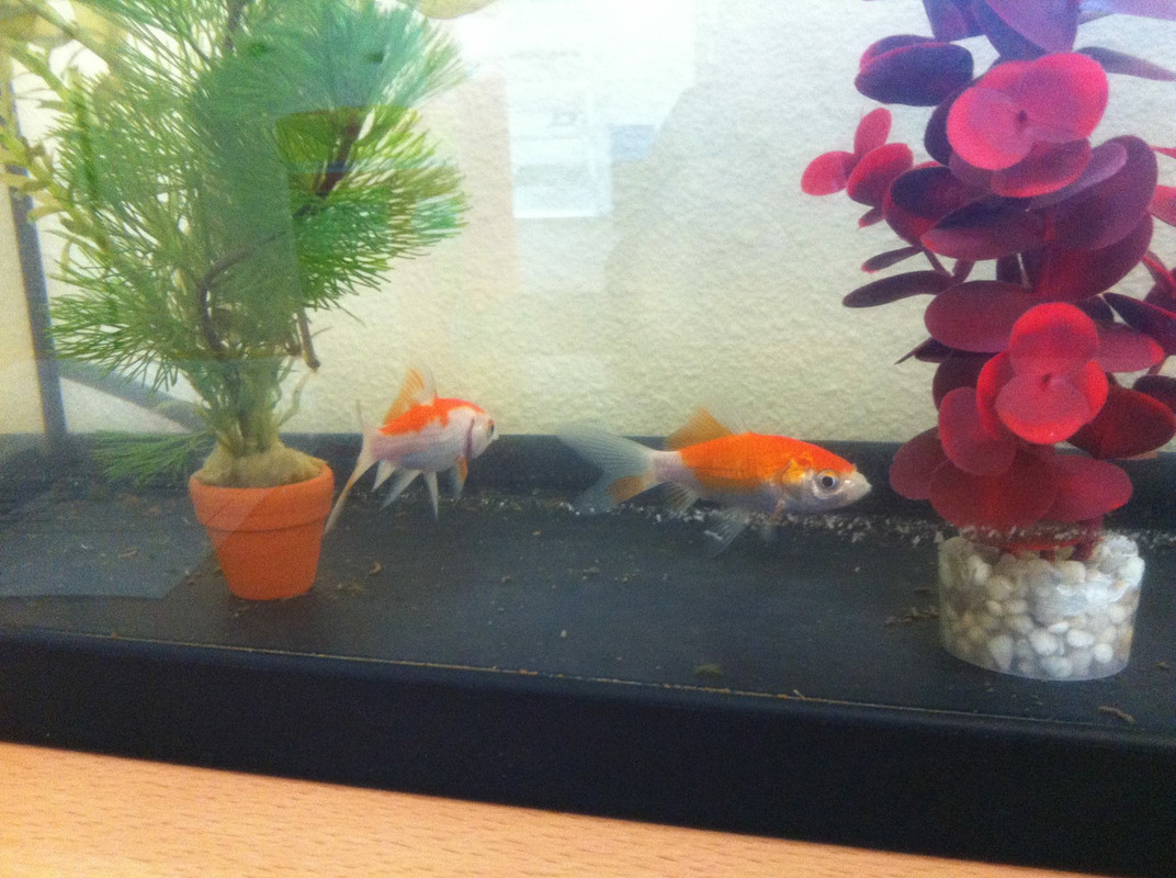 524CC3CA-6524-4F8B-9B50-8255B70BF7EC