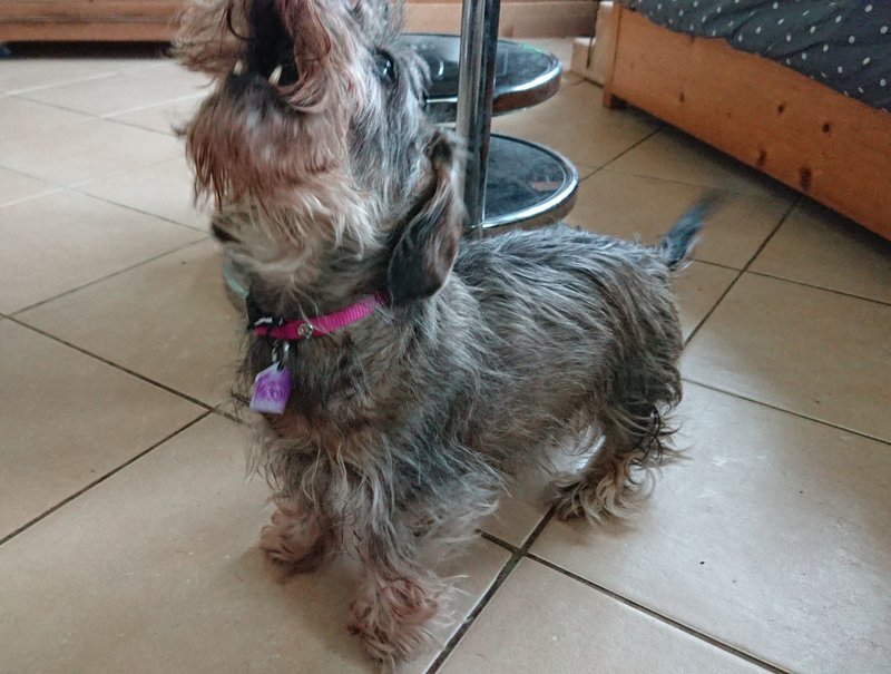 [Image: 20240314-143117.jpg]