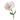 410