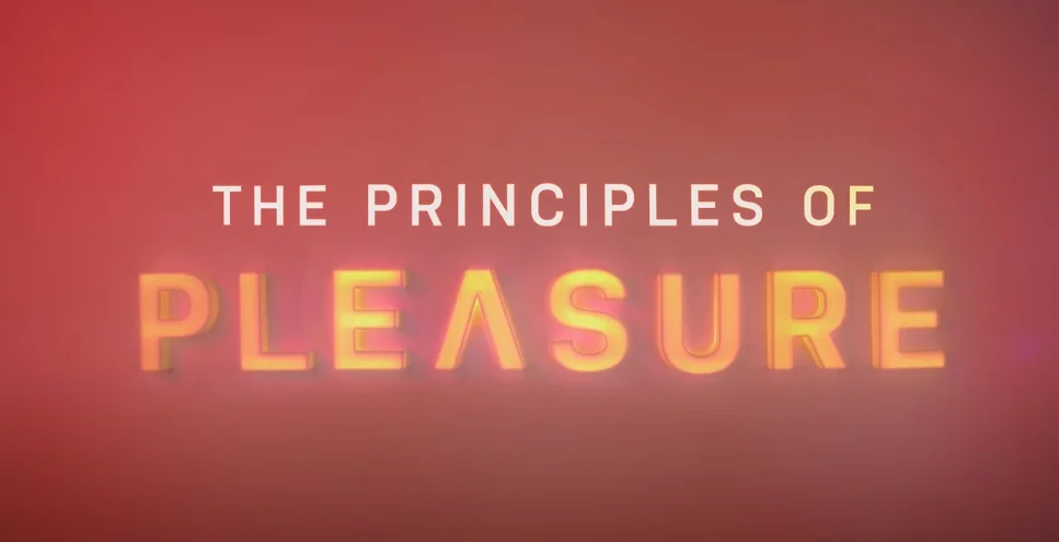 Pravidla rozkoše / The Principles of Pleasure / CZ