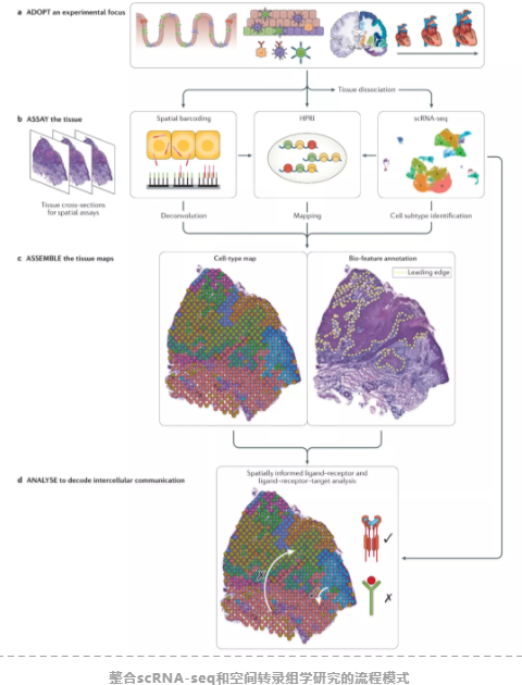 单细胞+空间转录组的整合分析方法总结-1.png