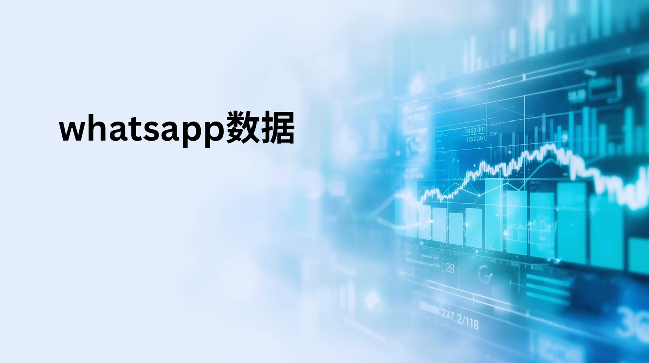 whatsapp数据