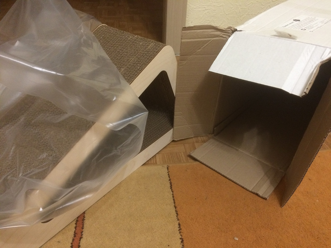 97CCE426-5D84-4EF9-9397-EF57BE647282