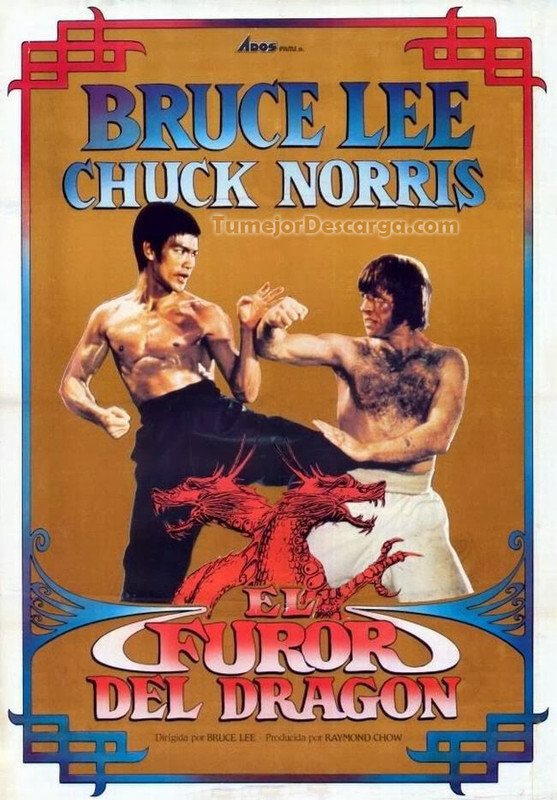 El furor del dragón
