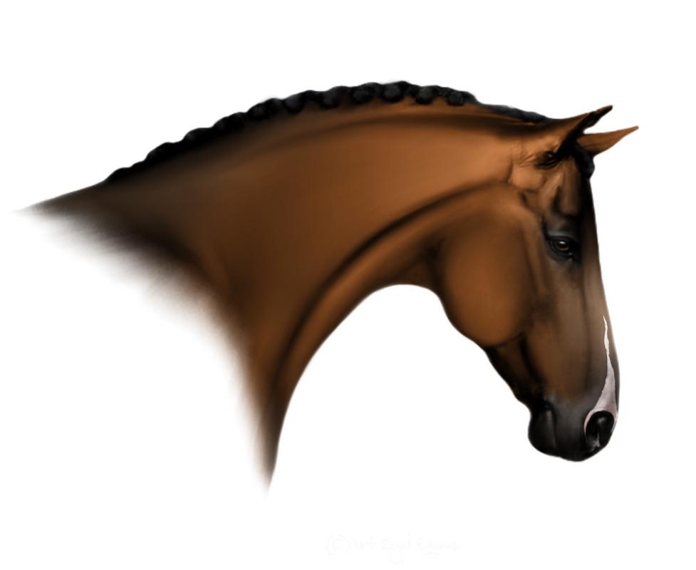 Untitled213-Restored7-20250121202616.png