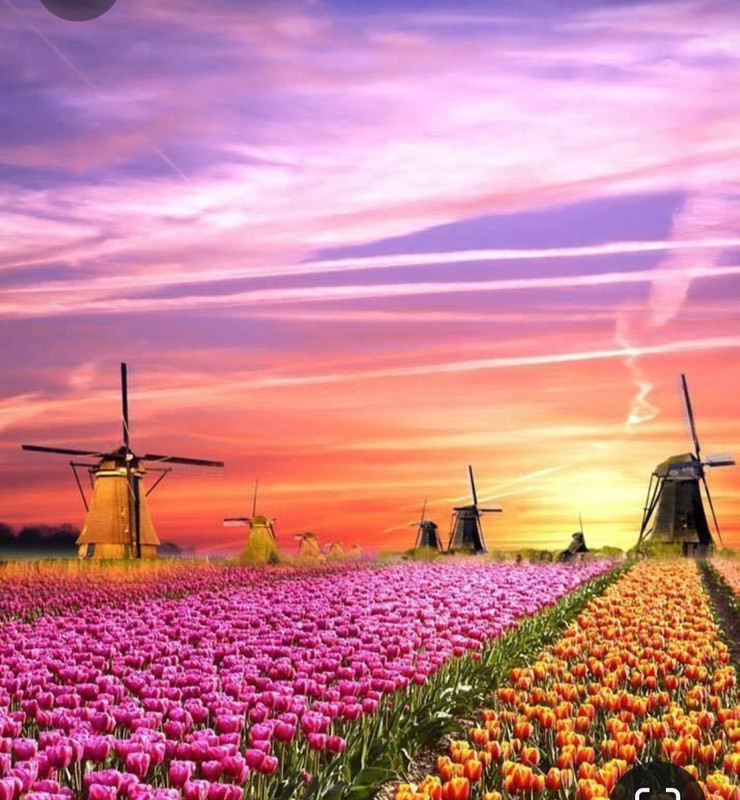 Screenshot_20230429_005844_Pinterest