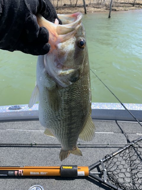 9E3C4733-C0D7-4F28-BA55-A19FE4A2BE89