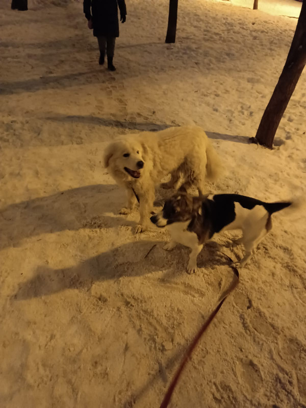 EA5C7366-C226-4CCC-8E94-7388A67535C5